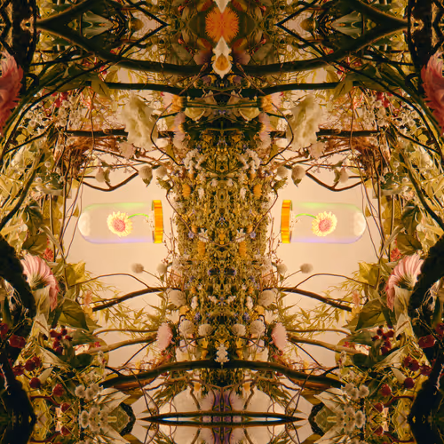 54411499690937640101772425138653578544162397958311670010148906844487935852545