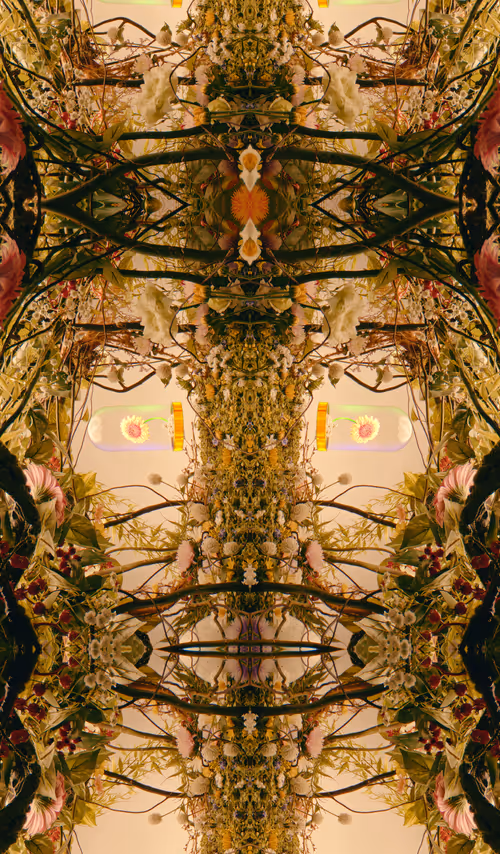 Item #54411499690937640101772425138653578544162397958311670010148906844487935852545 Media