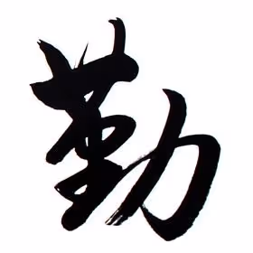 Item #89122859388136394203036627070696250166614725572333686446410253633640835579905 Media