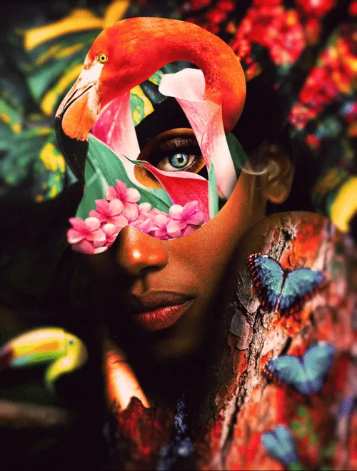 Item #10133503931691611381105861866214852730808786993761746614125845672155322253313 Media