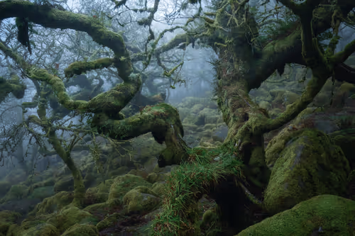 Item #72639390708267126639436568569652760193401123475841185469851730331320562221057 Media