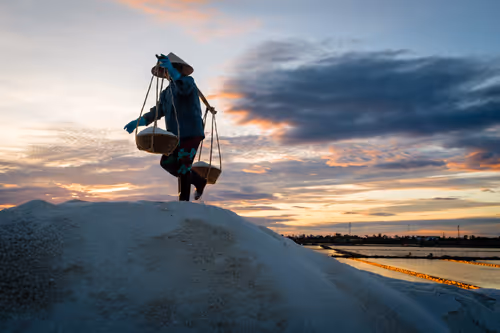 Item #44380994338133063636427405274069008736849147253072084515634940309607978893313 Media