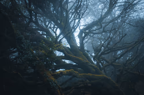 Item #5699665208779024996683959059412281030737296193224804872429037342847773179905 Media