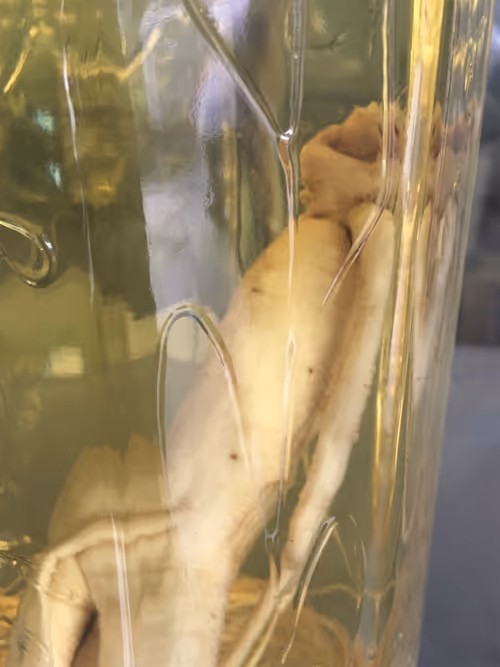 Item #96040857621548623282326574939458097993481777898920525483742573532900466098177 Media