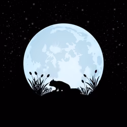 Animals By The Moon #66