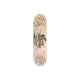 83869398432848545436450519436250678530758036323431525602166506545004431802369