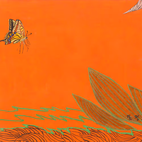 Butterfly Dream Collection