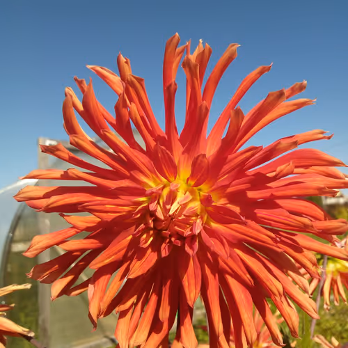 serch_3008 Collection