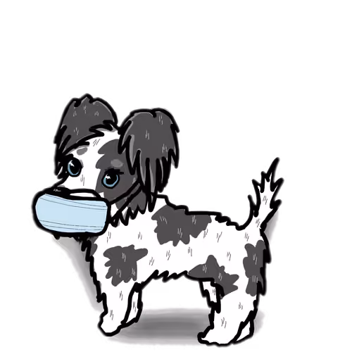 CRYPTDOG-19