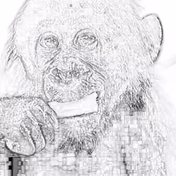 little bullish ape eating.