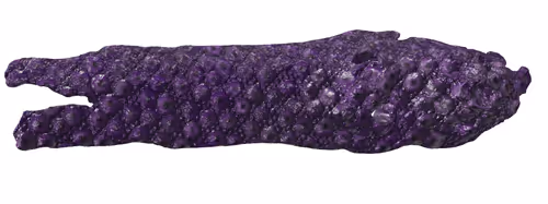 Item #22900232604420011537493696971111842688534829566160071035010649923839479250945 Media