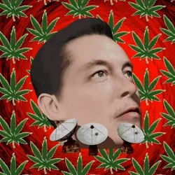 Strain Art- Elon Puffs