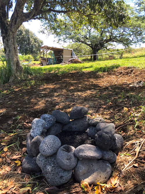 Item #111384347419130010131898734196272882001680551158239169533315207336158086299649 Media