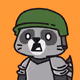 Raccoon #020