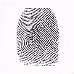 Spare Fingerprint #552