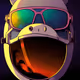 Bullishjeff Collection