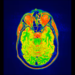 64162533542198579898252916190583583845604629893829087458582976202089831596033