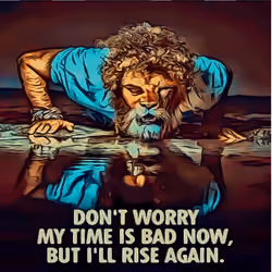 Lion#4 Meme Quotes