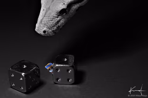 Item #92276744122057853651718415639206344305867727436671265924030834453562657865729 Media