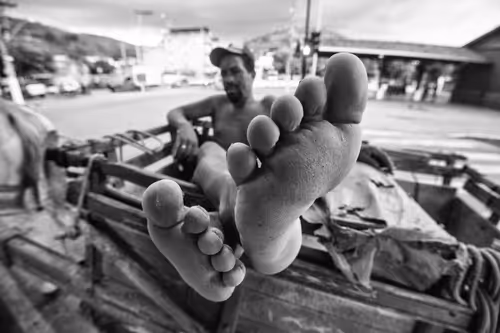 Item #112366464147051207571214532466603573155866555552083787527218318939740184772609 Media