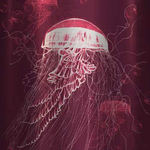 113233535435930126246803406212525192330824104616936385021501681235297386364929