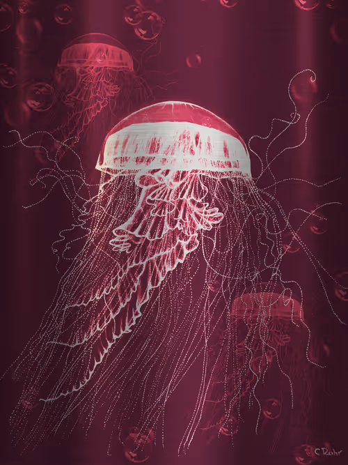 Item #113233535435930126246803406212525192330824104616936385021501681235297386364929 Media