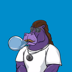 HydroHippo #24