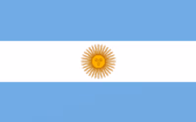 The Argentinians Flag