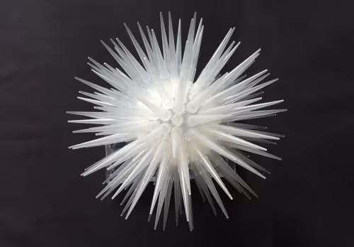 Item #108955583872739655741702358868652756405273862791069305959596897637935205056513 Media