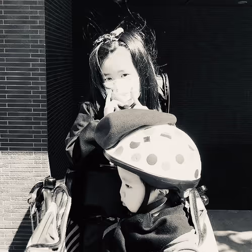 Untitled Collection #249653858