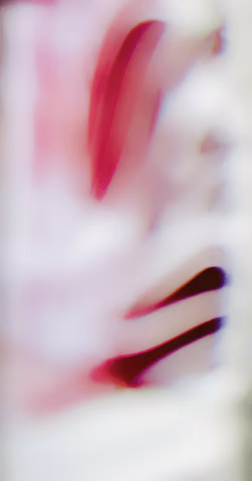 Item #34814088845477629227704468099299342434369579888194691644291829534481652383745 Media