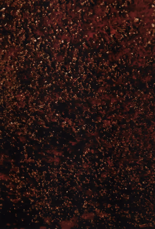 Item #23362206080031759863674021537611628681475652794224112579979904967323468955649 Media