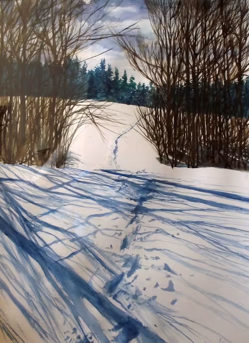 Item #30570506101474719710738310620042499867330861903085432496506805816976635592705 Media