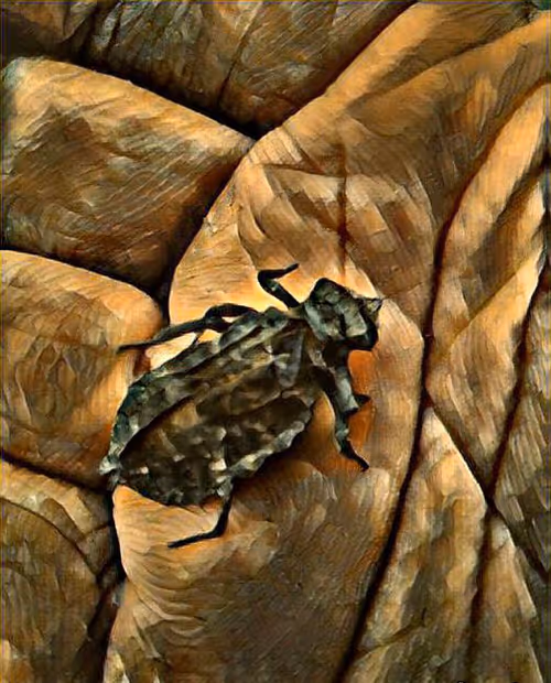 Item #81269833061274051173789884418282317830923519221172308843662164424096468697089 Media