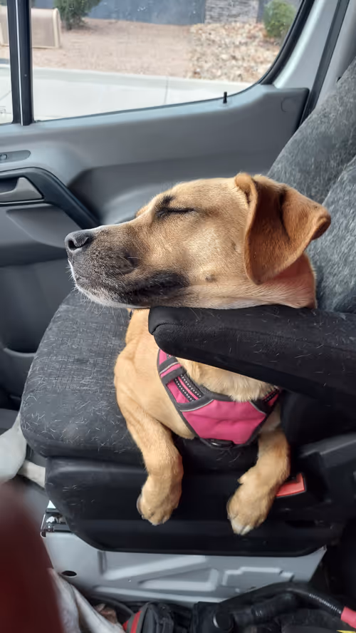 Item #39540864577667399256192616078450246771171412109449139938525305544048308649985 Media