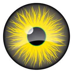 Real Eyes #29