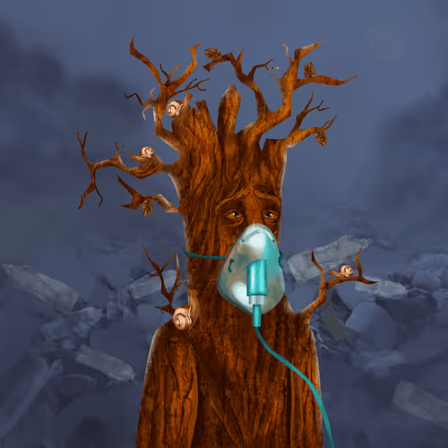 Item #38969088093190670381878411557565580659447067316565611691845277051780046258177 Media