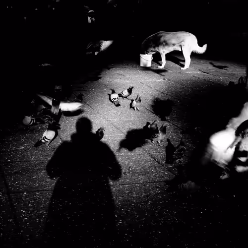 Dark Night