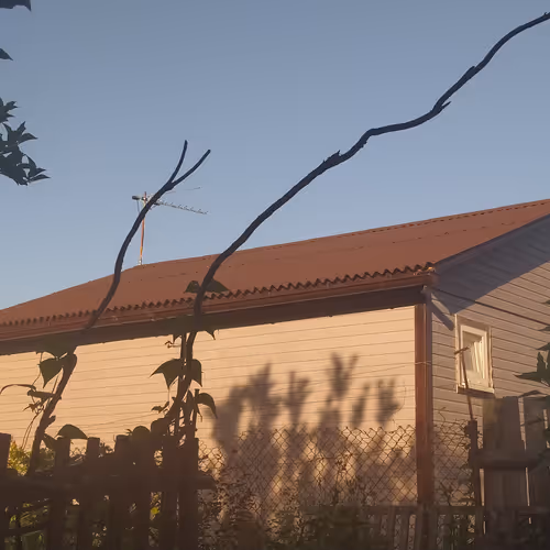 Untitled Collection #16499717