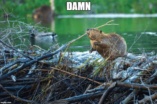 Item #71784478912813806361905117342137964638802648269634936565635800792370186813441 Media