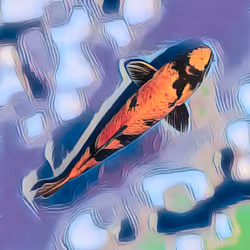 Koi collection #0097