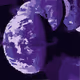 8556061733850570621173106315472467260668083661071942411625168941713484414977