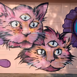 Mystic Cats