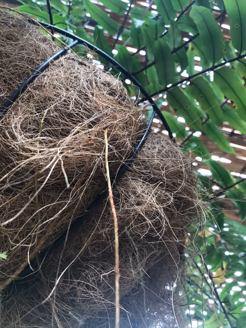 Item #67661316231098054921682891401216402451914203863513117788927143099790620884993 Media