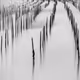 38451764483071137049617104277060770361693514459204374406310069482595337371649