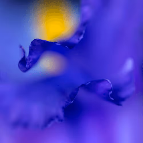 Homegrown - The Iris Collection