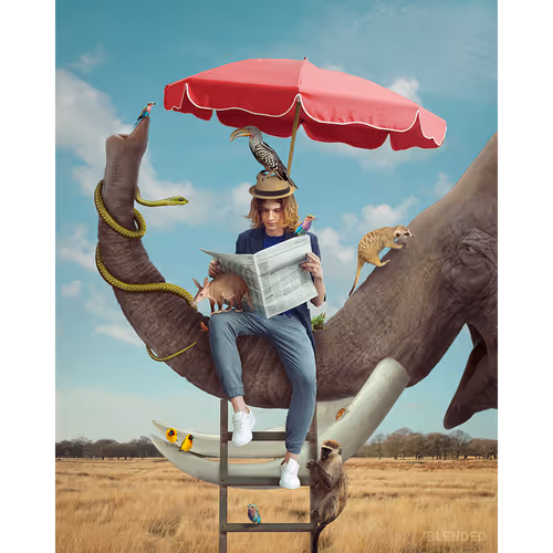 Item #5879297340110666872126467362085623760946726239549409686999787877329358815233 Media