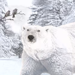 The Polar Opposite