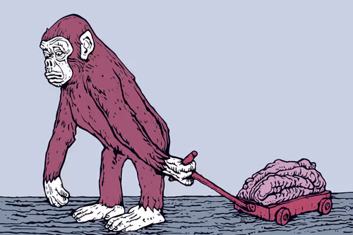 Item #87923327844655198979466254951696260193442639413682708998177013363416208769025 Media