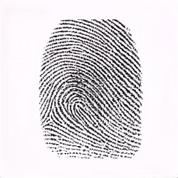 Spare Fingerprint #553